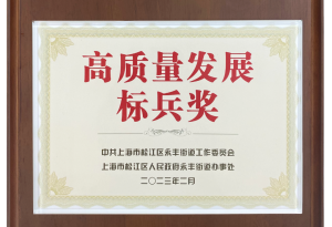 上海龍勝榮獲2022年度高質量發展標兵獎